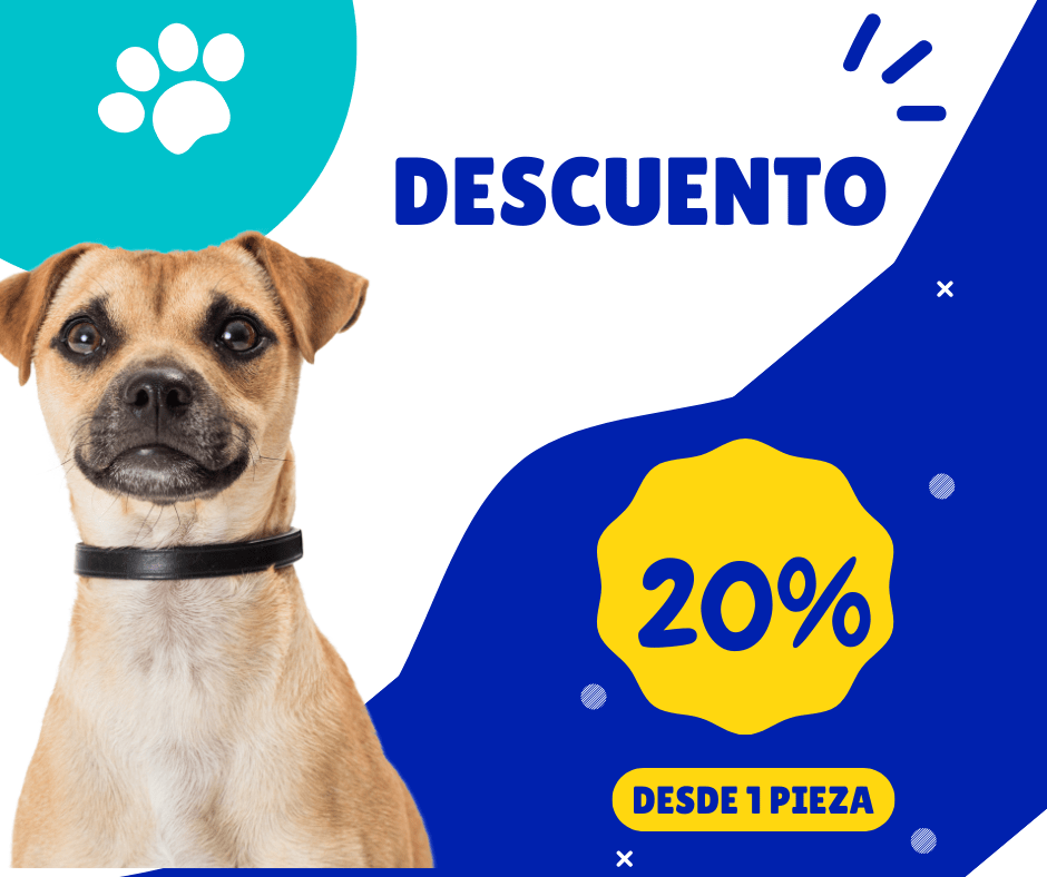 B 20% DESCUENTO
