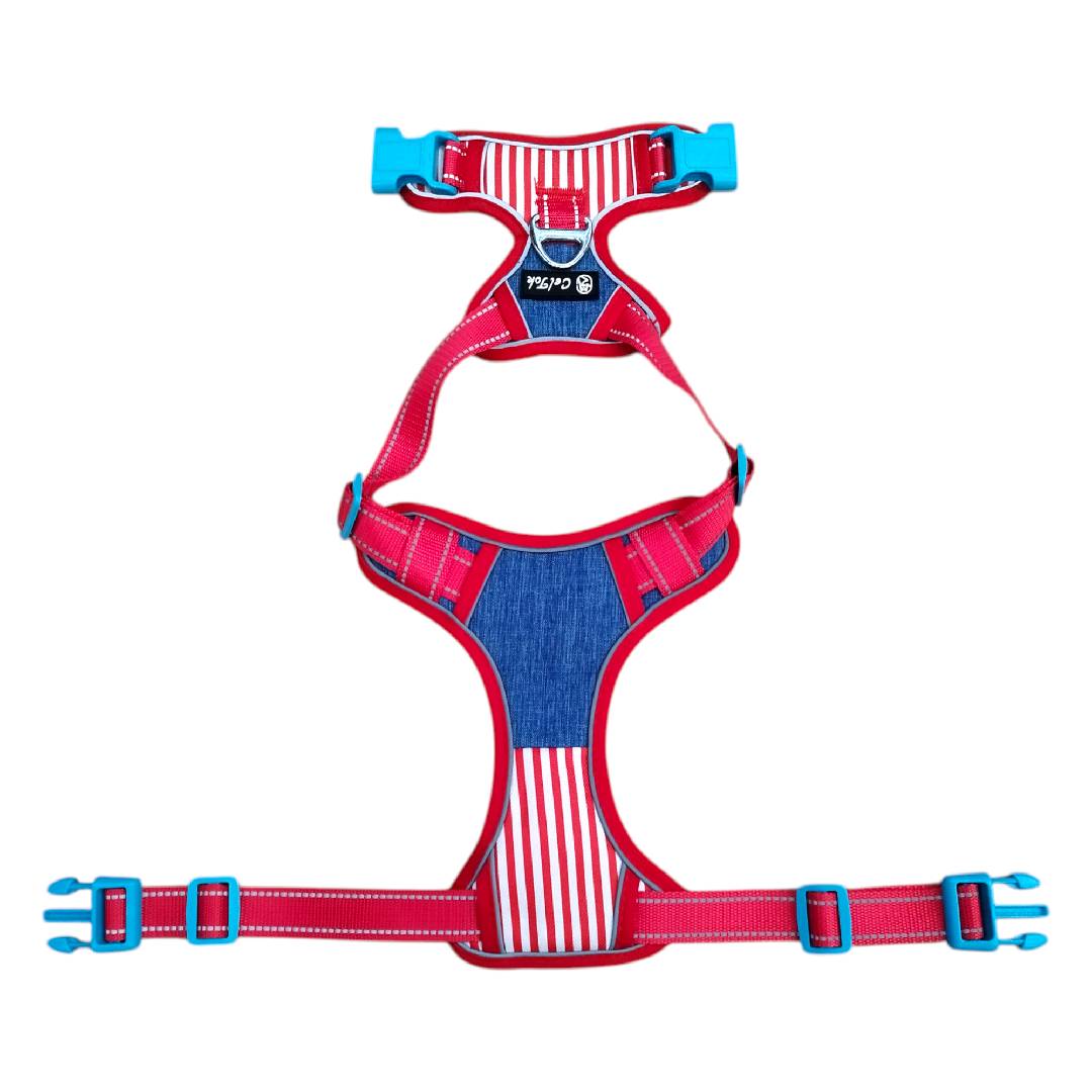 CT2662 1 Pieza De Pechera Para Mascota