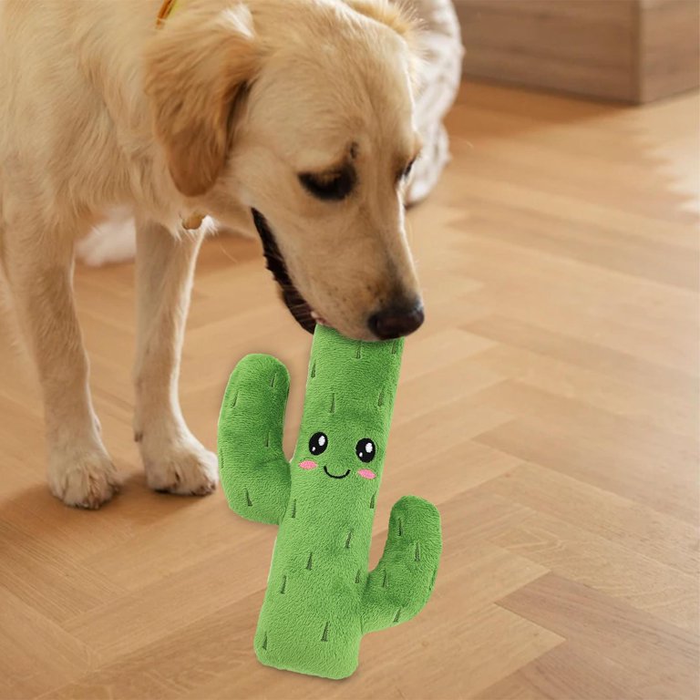 CT0382 1 Pieza De Juguete Cactus Para Mascota