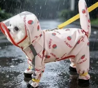 CT2390 1 Pieza De Impermeable Para Mascota
