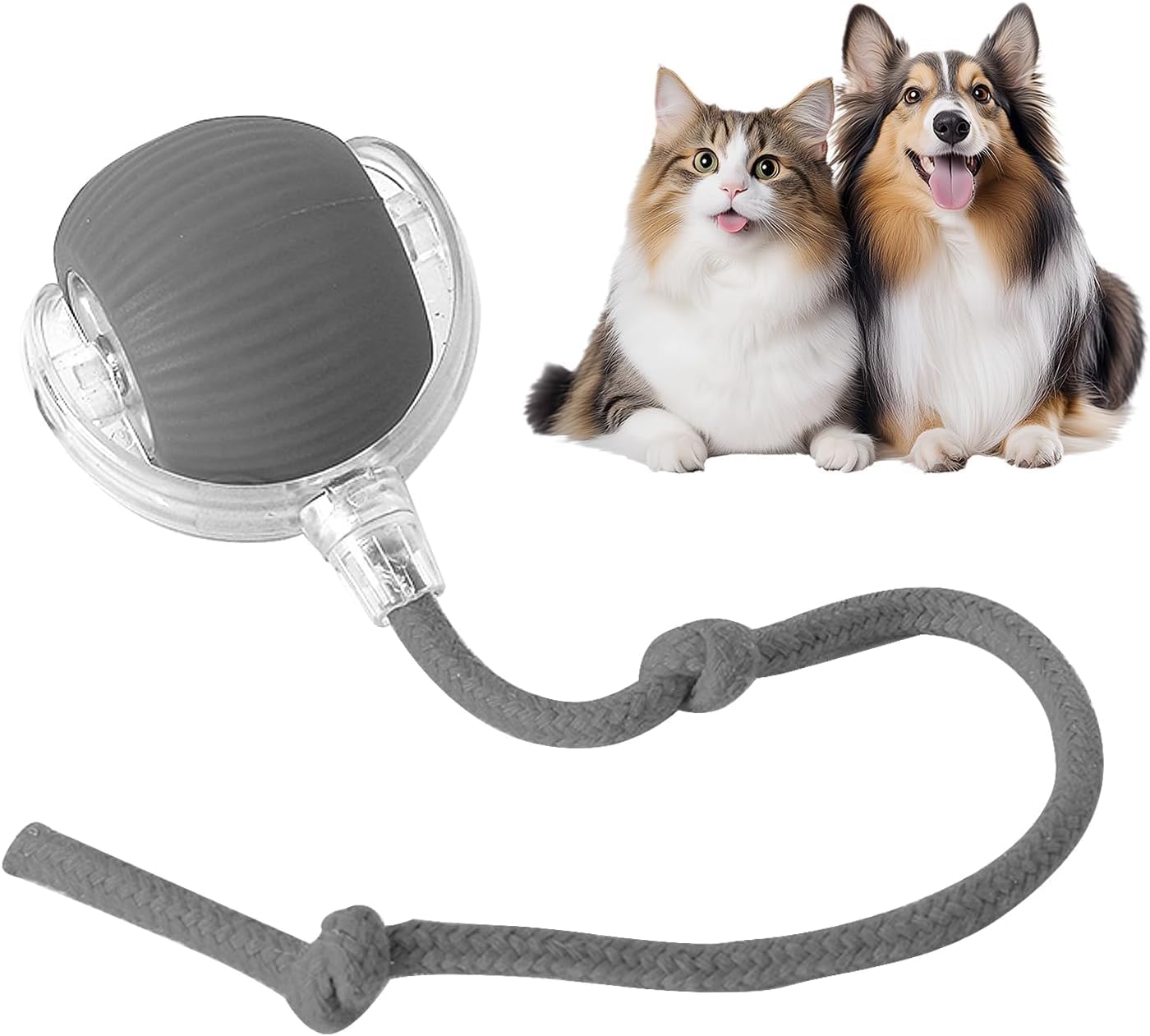 CT4047 1 Pieza Juguete Inteligente Para Mascotas
