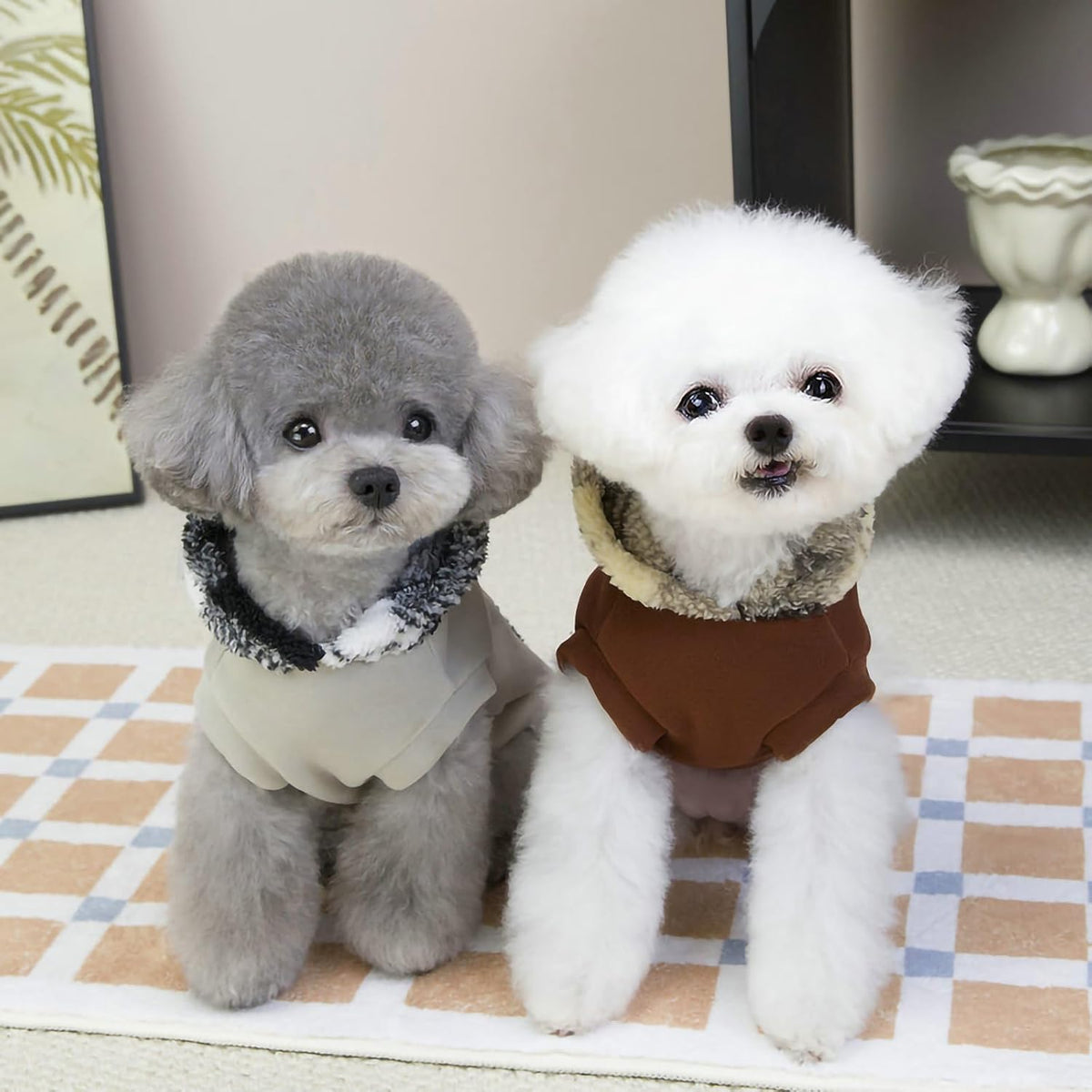 CT6072 1 Pieza De Ropa De Invierno Para Mascota Diseño Oso