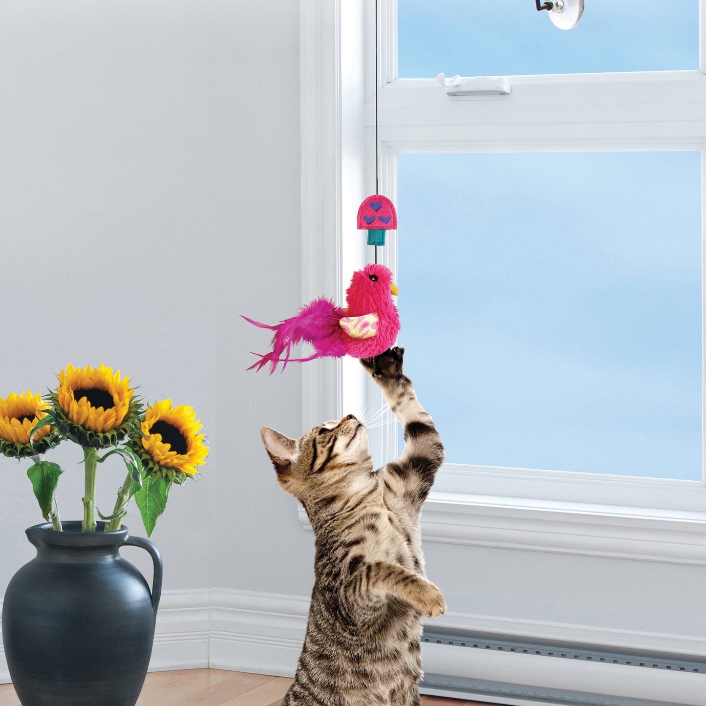 CT4219 1 Pieza Juguete Window Teaser Plumero Para Ventana Para Mascotas