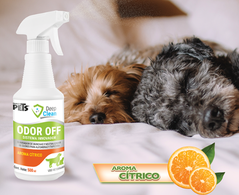FL3772 1 Pieza De Eliminador De Olores Limpieza Profunda 500 Ml Para Mascota