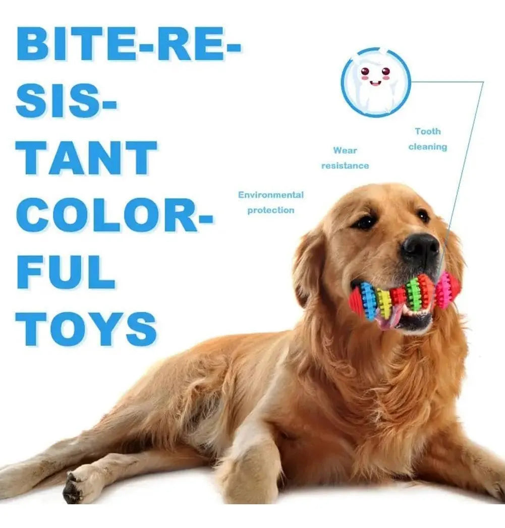 CT0009 1 Pieza De Juguete Para Mascota