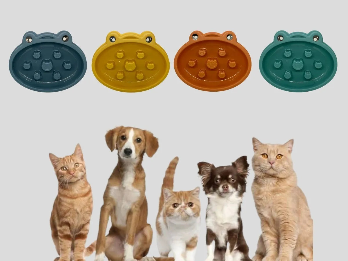 CT1948 1 Pieza Tazón De Alimentación Lenta Para Perro