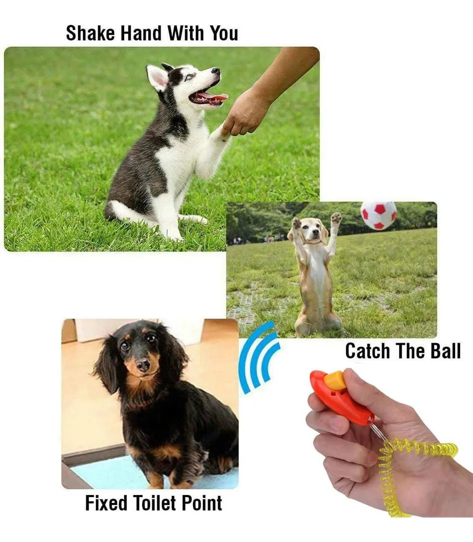 CT9964 1 Pieza De Click Para Mascota