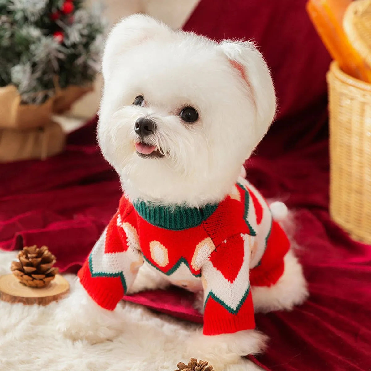 CT9869 1 Pieza De Ropa De Invierno Para Mascota