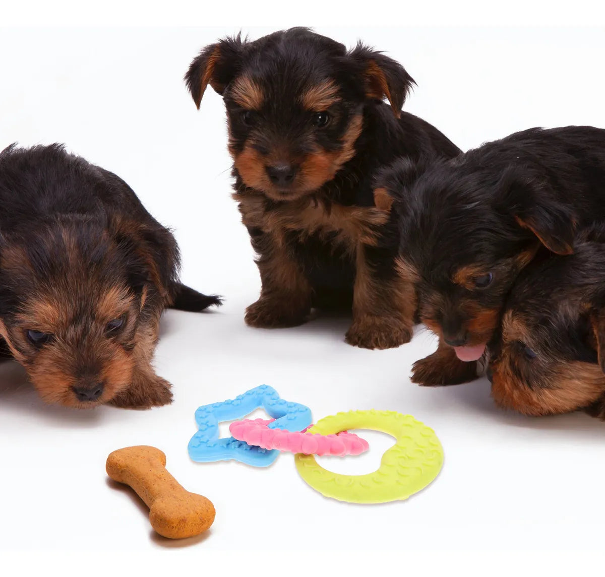 CT8006 1 Pieza De Juguete Para Mascota