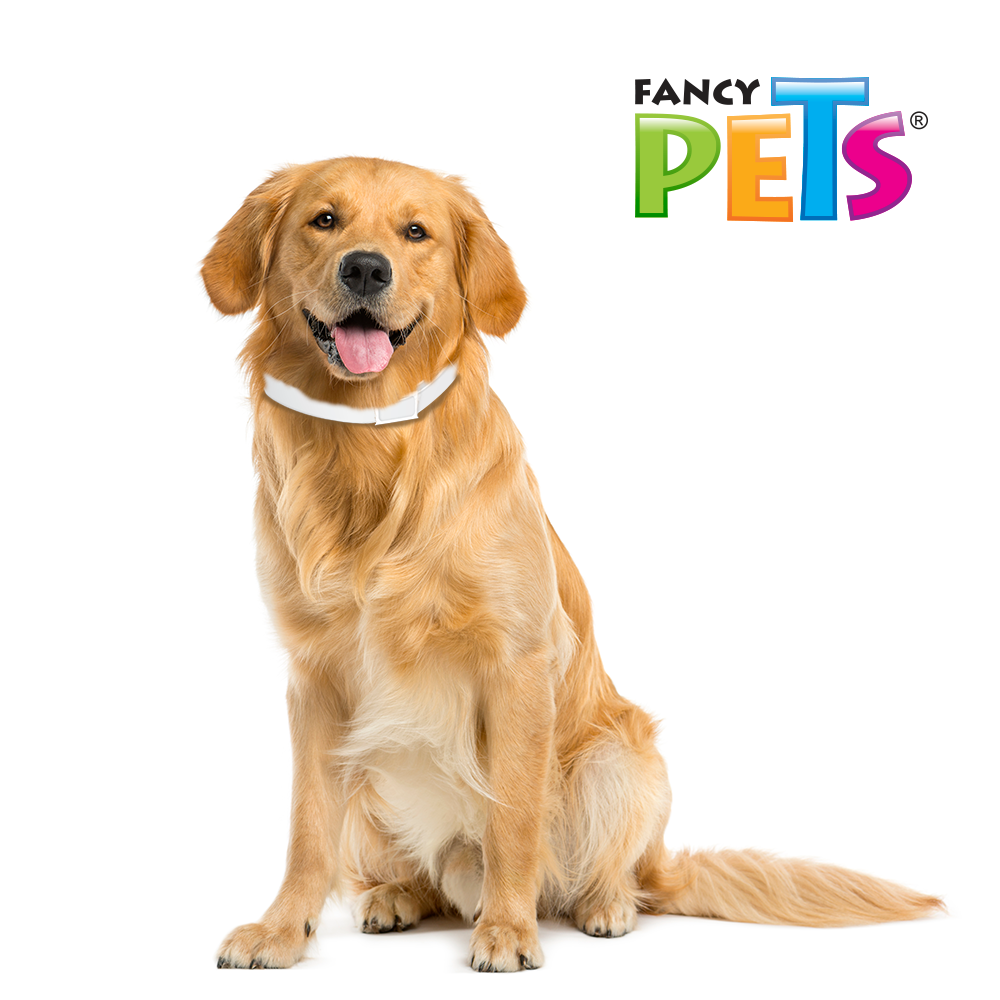FL3604 1 Pieza De Collar Antipulgas Para Razas Grandes