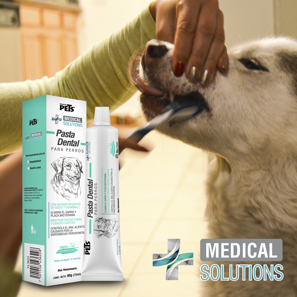 FL3622 1 Pieza De Pasta Dental Para Mascota