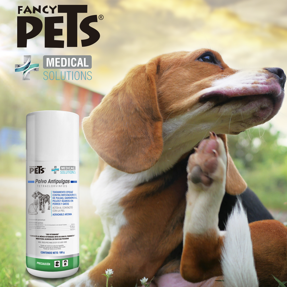 FL3629 1 Pieza De Polvo Antipulgas Para Mascota