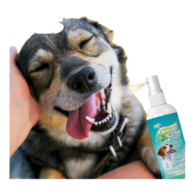 FL3774 1 Pieza De Spray Dental Para Mascotas