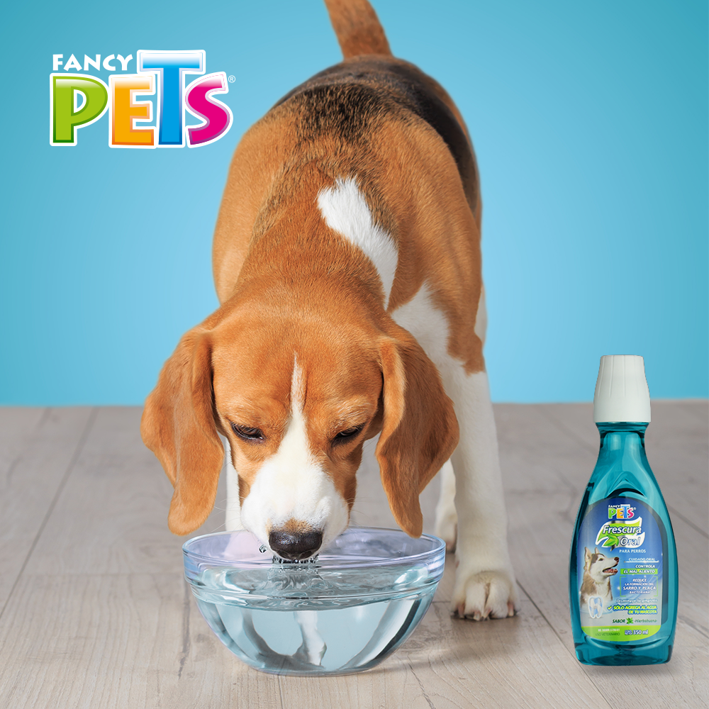FL3904 1 Pieza Refrescante De Aliento Para Mascota