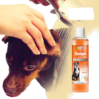 FL3966 1 Pieza Shampoo Desinfectante Para Perro