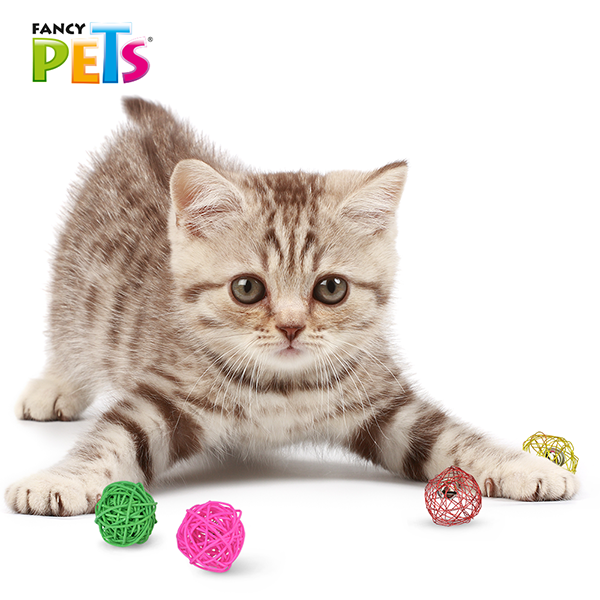 FL8256 1 Set 4 Piezas Juguete Sound Bola Con Sonido Para Mascotas