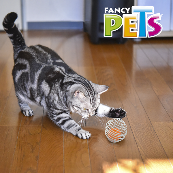 FL8265 1 Pieza Juguete Sound Pelota Enjaulada Para Mascotas