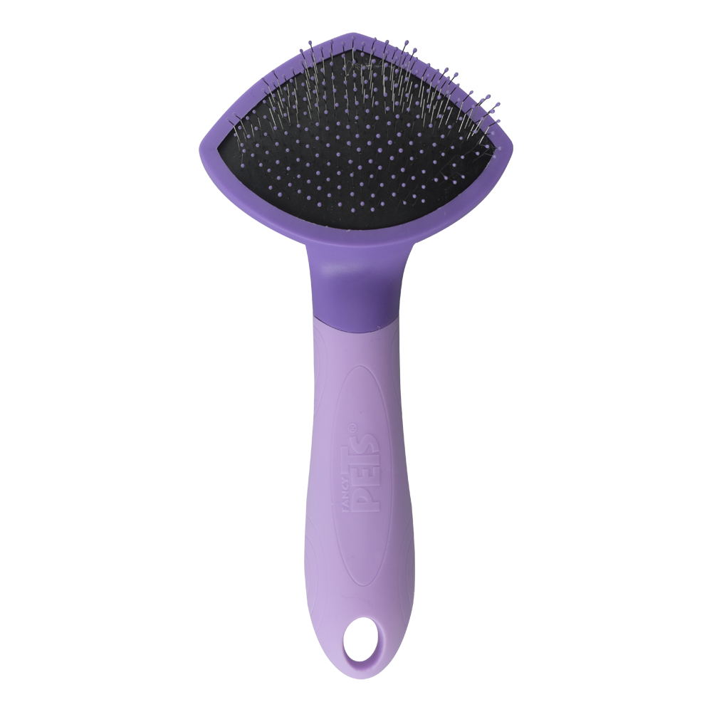 FL8331 1 Pieza de Cepillo De Carda Expert Para Gato