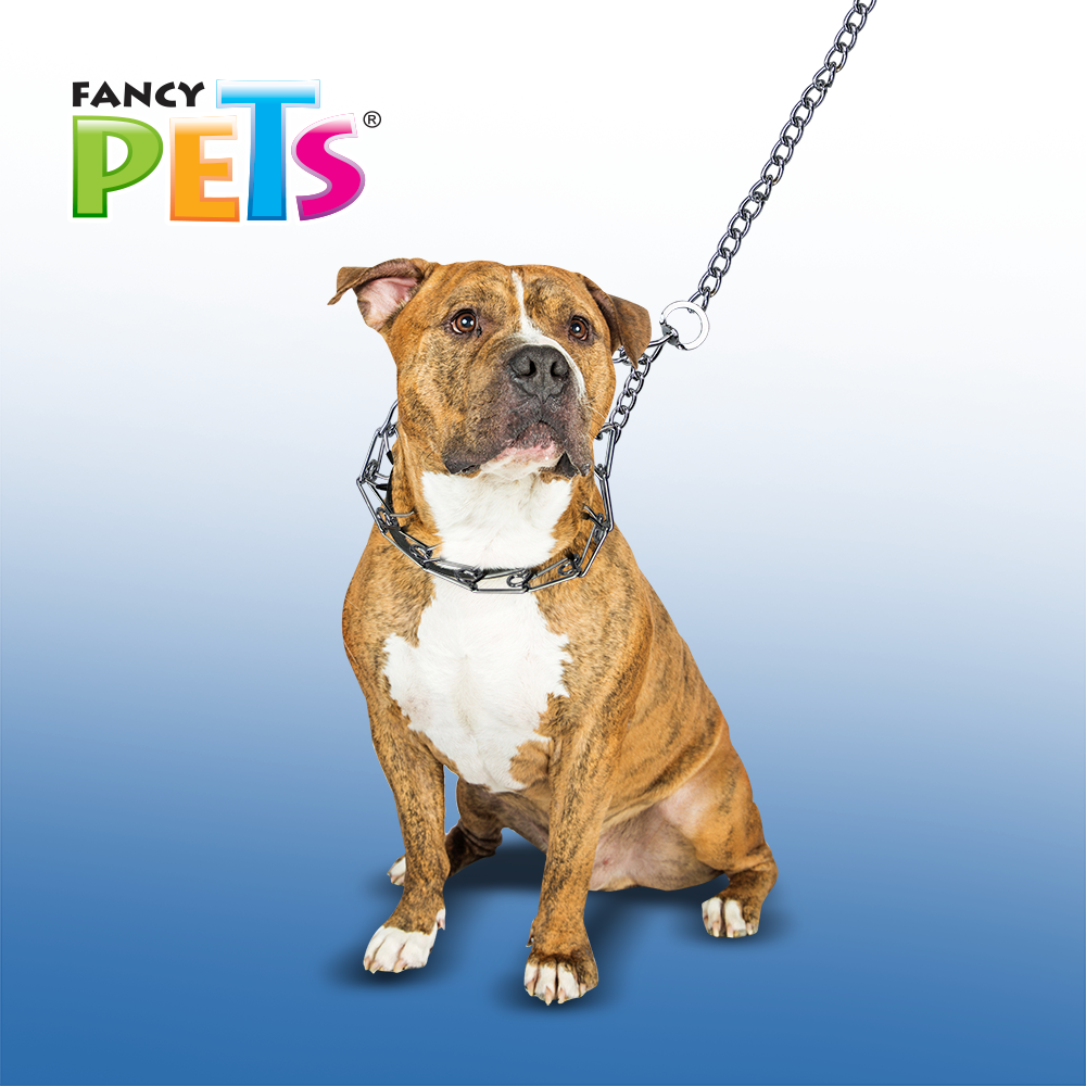 FL9132 1 Pieza De Collar De Entrenamiento Para Mascota