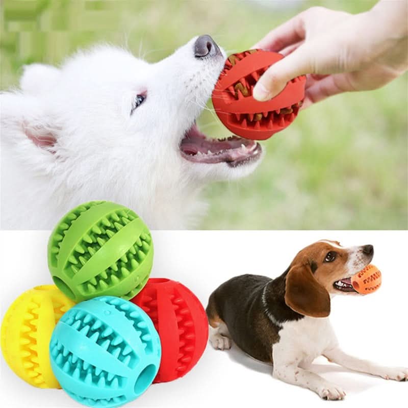 CT9177 1 Pieza Juguete Pelota Para Premio De Alimento