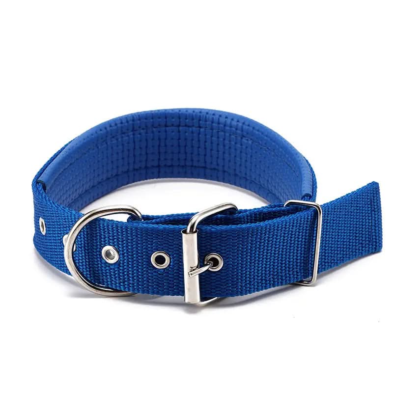 CT1675 1 Pieza De Collar Para Mascota