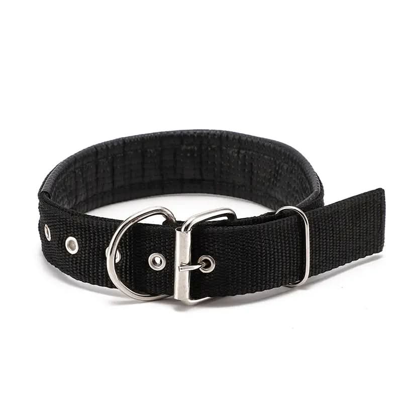CT1675 1 Pieza De Collar Para Mascota
