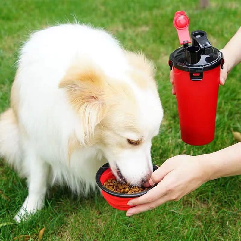 CT0097 1 Pieza Vaso Para Croquetas y Agua Más Plato Plegable de Silicona