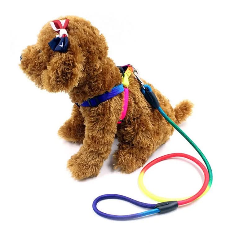 CT0136 1 Pieza De Correa Para Mascota