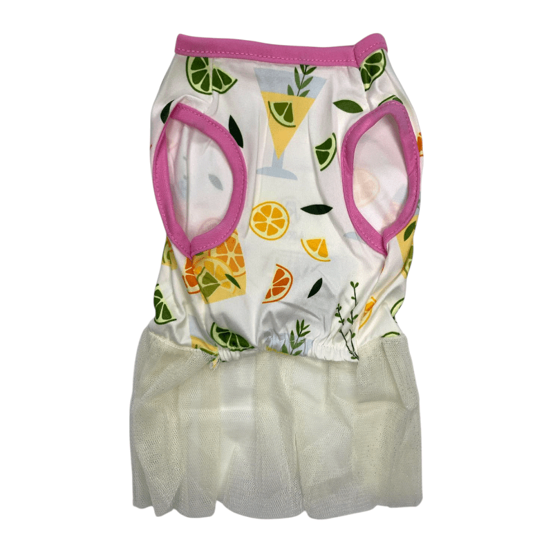 CT0197 1 Pieza De Ropa Para Mascota