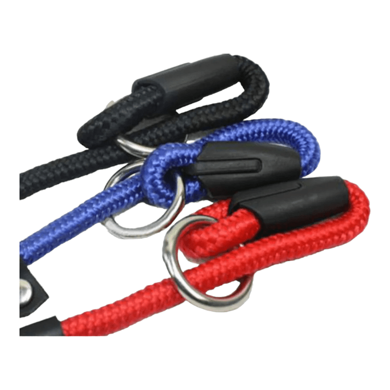 CT0228 1 Pieza De Correa De Entrenamiento Para Mascota