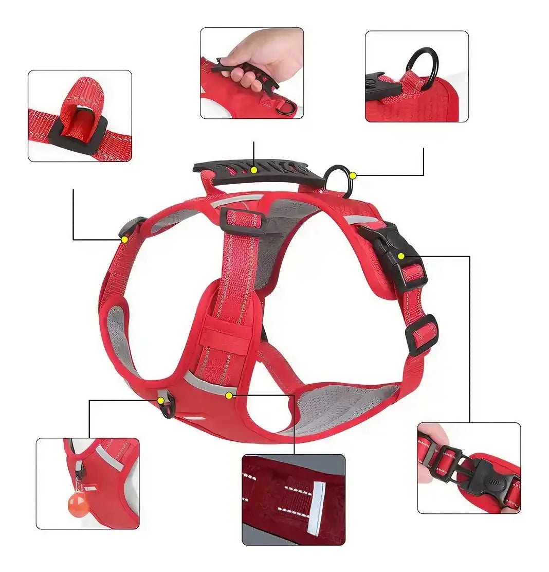 CT0339 1 Pieza De Pechera Con Correa Para Mascota
