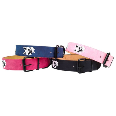 CT0354 1 Pieza De Collar Para Mascota