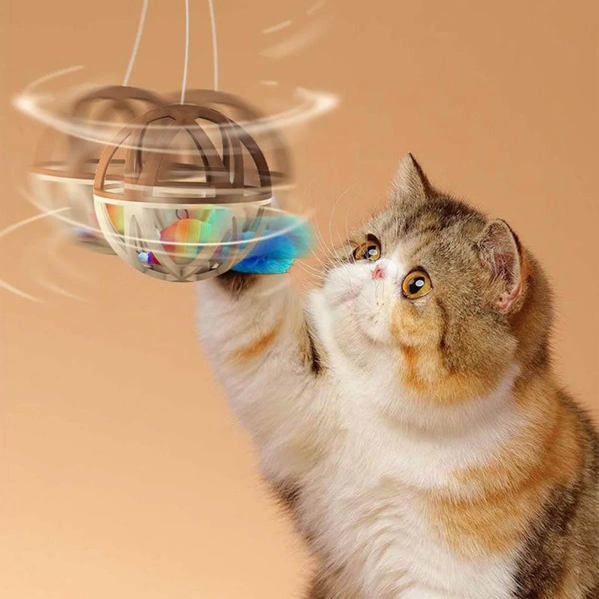 CT0484 1 Pieza De Juguete Para Mascota