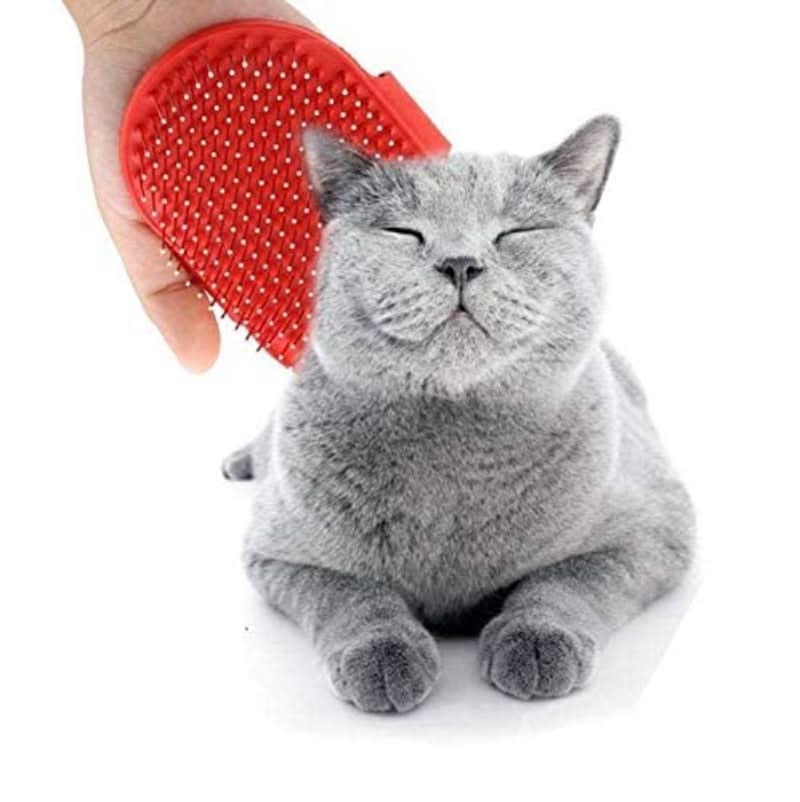 CT0587 1 Pieza Cepillo De Masaje De Ducha Para Mascota