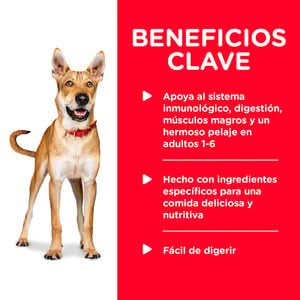 CT0723 1 Pieza De Estofado De Pollo Zanahorias y Espinacas Adulto