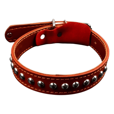 CT1008 1 Pieza Collar De Piel Para Mascota