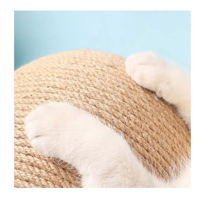 CT1368 1 Pieza de Juguete Rascador Para Gato