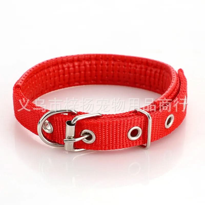 CT1655 1 Pieza De Collar Para Mascota
