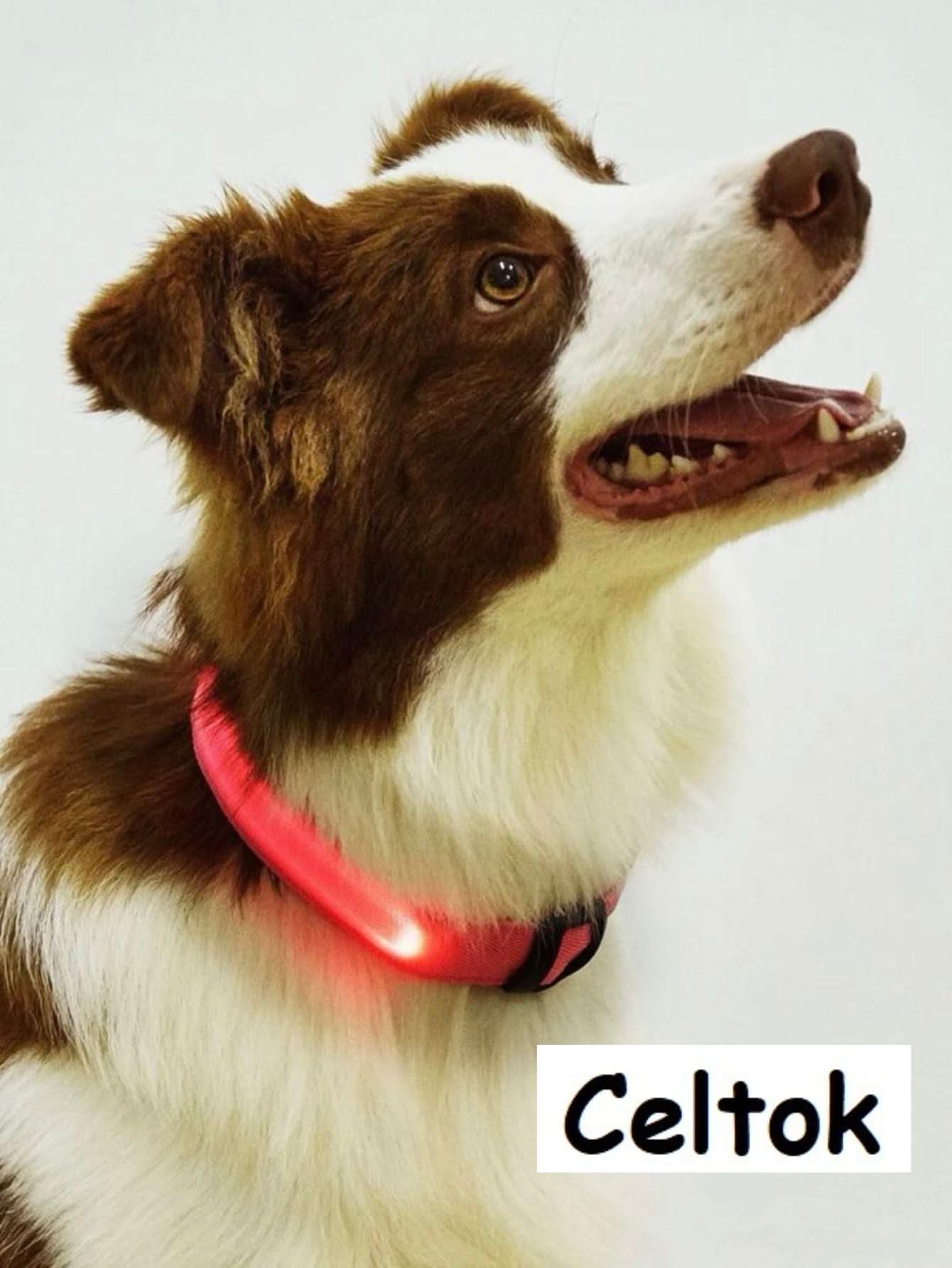 CT2111-50305 1 Pieza De Collar De Luz LED De Bateria