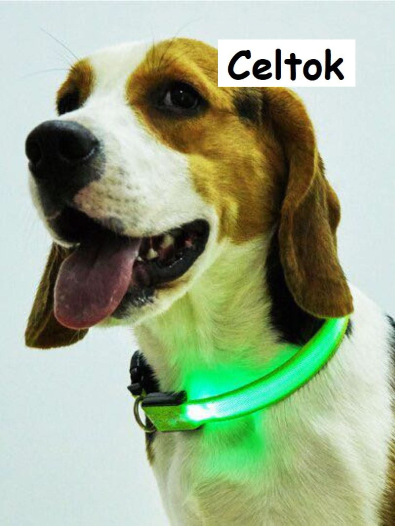 CT2111-50305 1 Pieza De Collar De Luz LED De Bateria