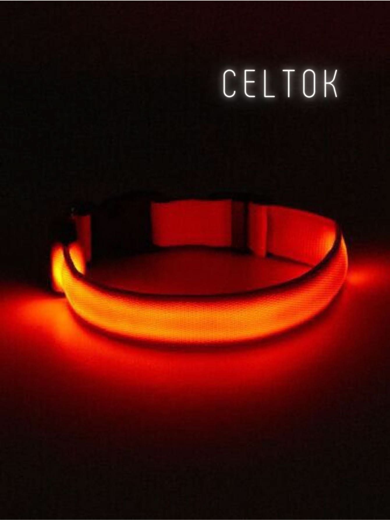 CT2111-50305 1 Pieza De Collar De Luz LED De Bateria