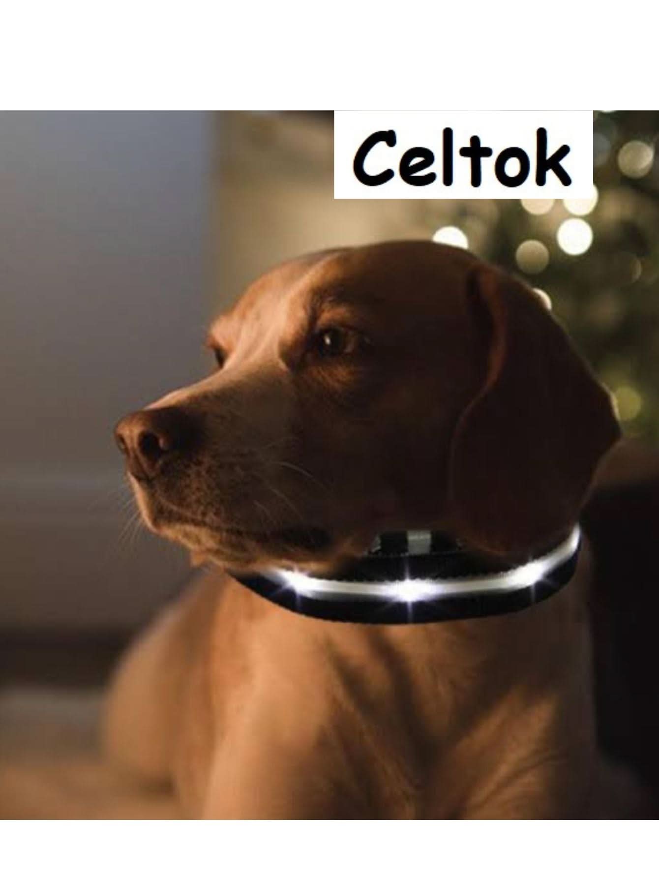 CT2111-50305 1 Pieza De Collar De Luz LED De Bateria