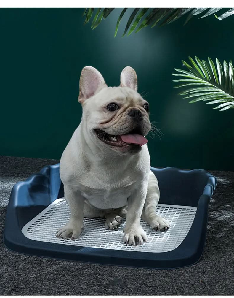 CT2136 1 Pieza De Tapete Entrenador Para Mascota