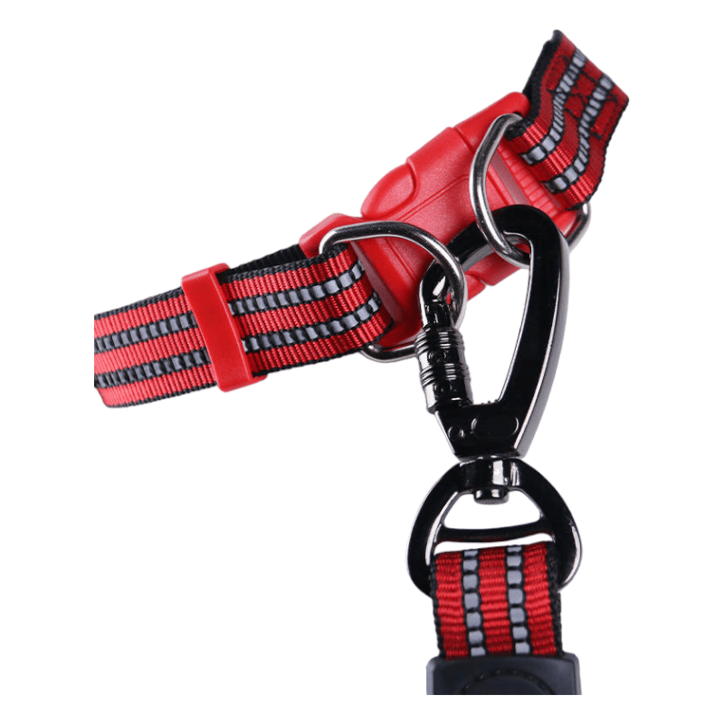 CT2217 1 Pieza De Collar Con Correa Para Mascota