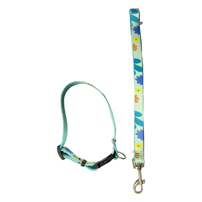 CT2220 1 Pieza De Collar Con Correa Para Mascota