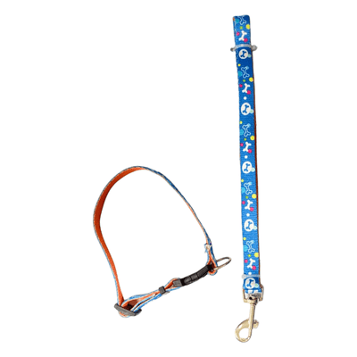 CT2220 1 Pieza De Collar Con Correa Para Mascota