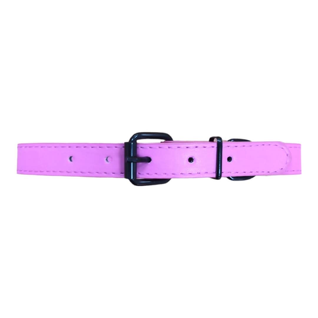 CT2345 1 Pieza De Collar Para Mascota