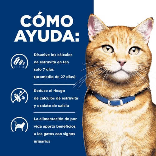 CT2380 1 Pieza De Alimento Cuidado Urinario Con Pollo Para Gato