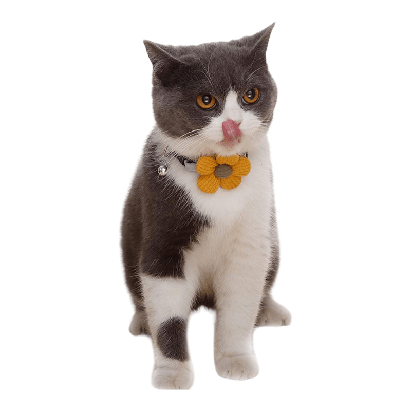 CT2712 1 Pieza De Collar Con Diseño Para Mascota