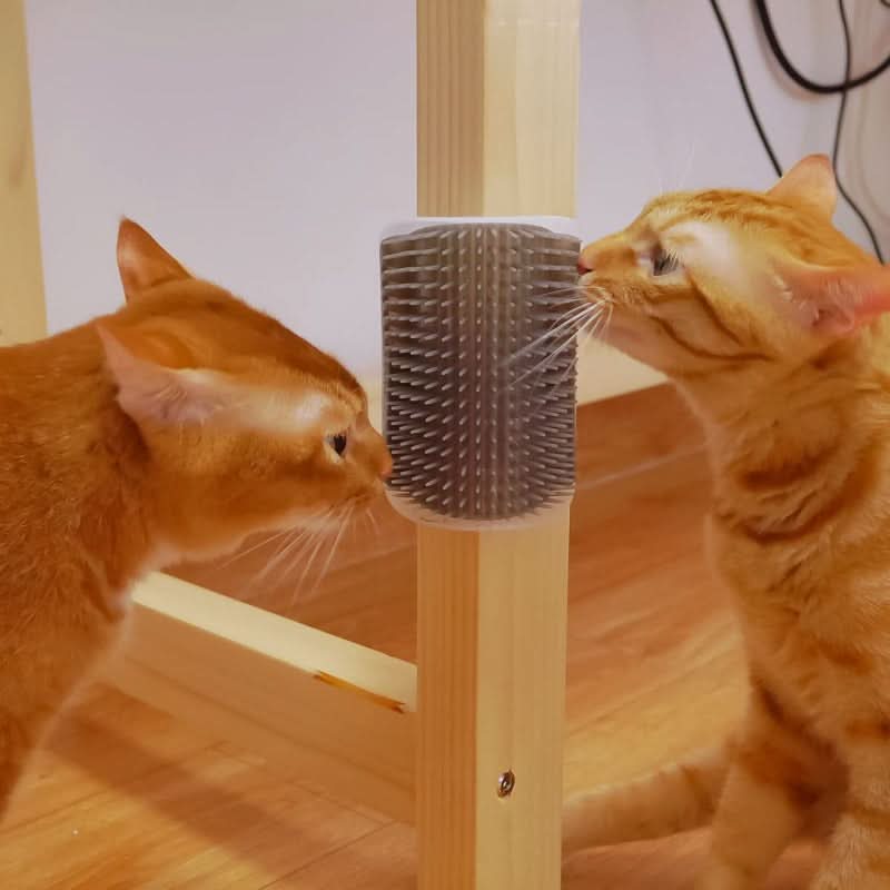 CT2814 1 Pieza Cepillo Masajeador De Mascota